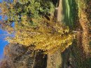 Couleur Soleil